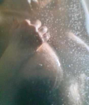 Страстная красотка готова порадовать тебя своими нежными ласками и страстными поцелуями. Приходи, и ты не пожалеешь! 4468, 30 лет